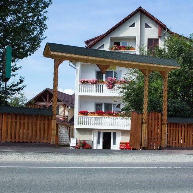 Pensiunea Aurica Tîrgu Lăpuş Exterior foto